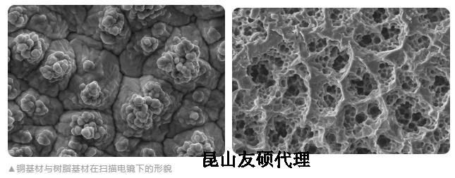 黄山蔡司黄山扫描电镜