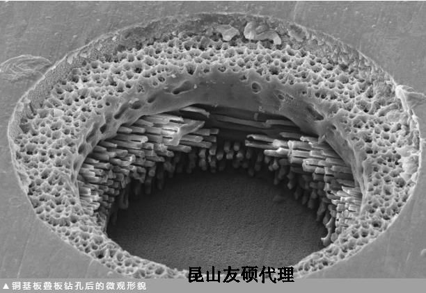 黄山蔡司黄山扫描电镜